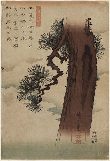 Print titled Pine Tree by Utagawa Hiroshige I.