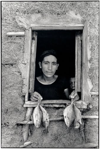 Graciela Iturbide (born 1942, Mexico), Untitled, 1981. 