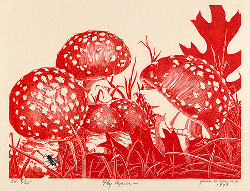 Grace Arnold Albee (1890–1985, US), Fly Argaric, 1973.