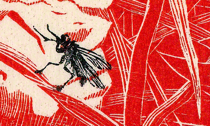 Grace Arnold Albee (1890–1985, US), Fly Argaric, detail, 1973.