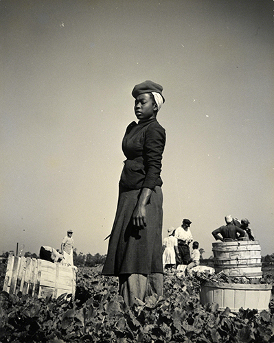 Consuelo Kanaga (1894–1978, US), Untitled, from the Florida Muckworkers series, 1950. 