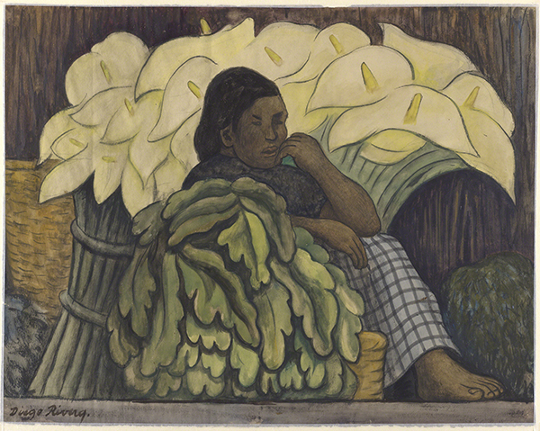 Drawing by Diego Rivera titled The Lily Vendor (1935). Woman sits on the ground with leaves in front of her and bundles of large calla lilies behind her.