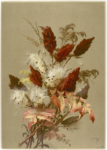 Ellen Thayer Fisher (1847–1911, US), Sumac and Milkweed, 1885. 