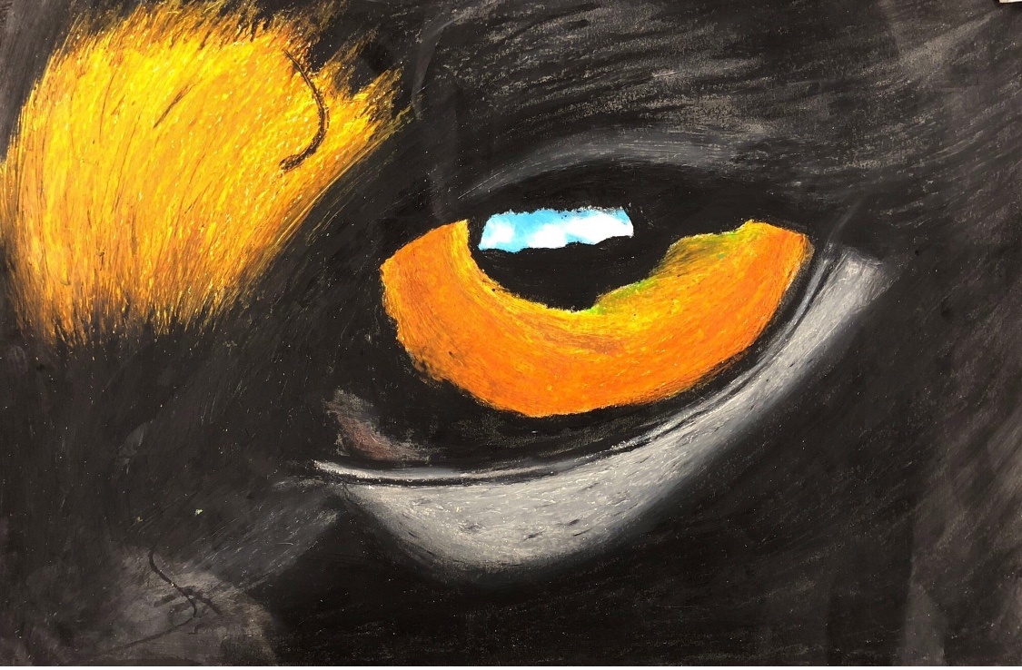 student artwork - closeup of bird's eye