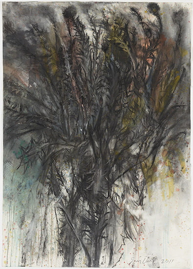 Drawing by Jim Dine titled Thistle (2011). Gestural drawing of a plan in gray, yellow, orange, and teal.