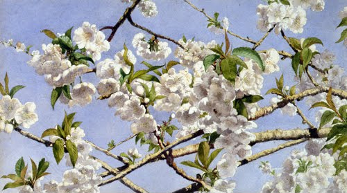 John William Hill (1812–1879, England/US), Apple Blossoms, ca. 1874. 
