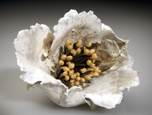 Sugiura Yasuyoshi (born 1949, Japan), Fallen Camellia Flower, 2009. 