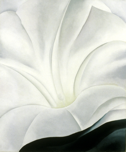 Georgia O'Keeffe, Morning Glory with Black I, 1926. 