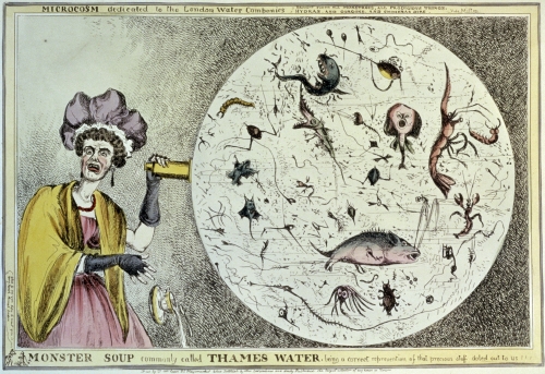 William Heath (1795–1840, Britain), Microcosm Dedicated to London Water Companies Brought Forth All Monstrous, All Prodigious Thigs (sic), Hydras, andGorgons, and Chimera Dire, Vide Milton (Paradise Lost)—Monster Soup, Commonly Called Thames Water, Being a Correct Presentation of that Precious Stuff Doled Out to Us, 1828. 