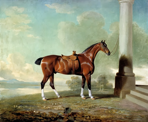  Benjamin Marshall (1767-1835 Britain) Favorite Hunter of Lady Frances Stephens, 1799.
