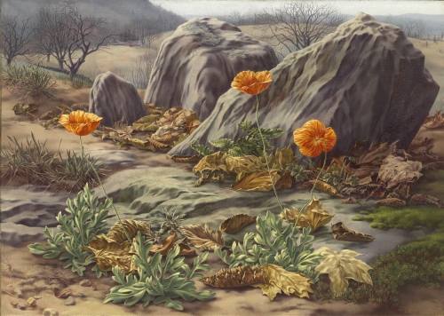 Peter Blume, Landscape with Poppies, 1939.