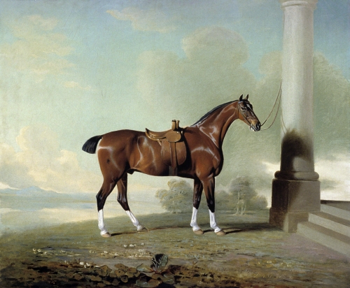 Benjamin Marshall (1768–1835, Britain), Favorite Hunter of Lady Frances Stephens, 1799. 