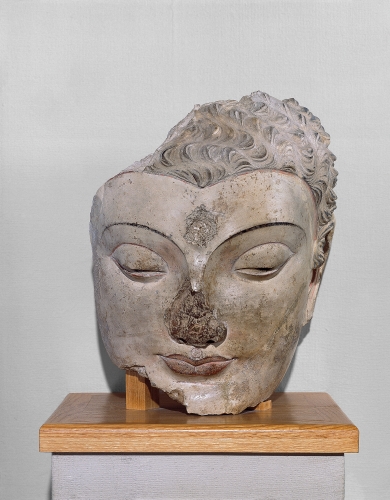 Pakistan or Afghanistan, Head of the Buddha, 300s to 400s CE. 