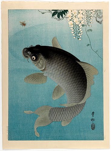 Ohara Shoson (1875–1949), Carp Beneath Wisteria, ca. 1935. 