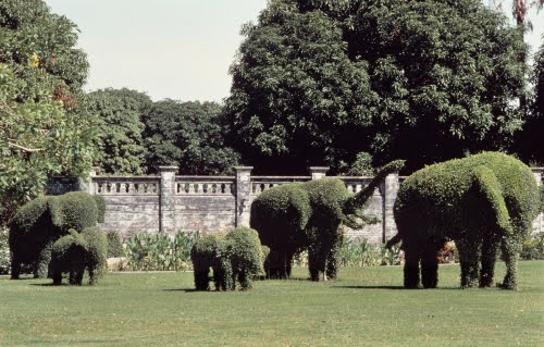 Thailand, Bang Pa-In Summer Palace, Bangkok, elephant topiary in gardens, 1872–1881.