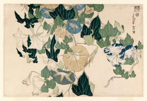 Katsushika Hokusai (1760–1849, Japan), Morning Glories in Flowers and Buds, ca. 1830. 
