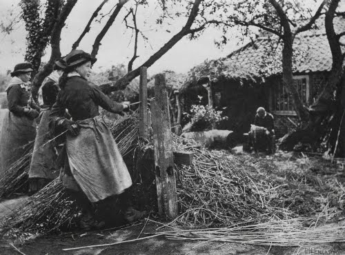 Peter Henry Emerson (1856–1936, Britain), Women Working Reeds, from the series Pictures of East Anglian Life, 1888.