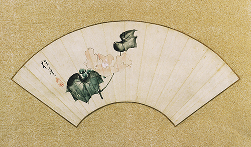 Sakai Hōitsu (1762–1828 Japan), Mallow Blossom, fan representing summer in the Flowers of the Four Seasons series.
