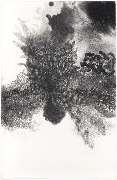Work on paper in six panels by Mequitta Ahuja titled Fount (2009). Detail of one panel showing hair and abstract forms in black-and-white.