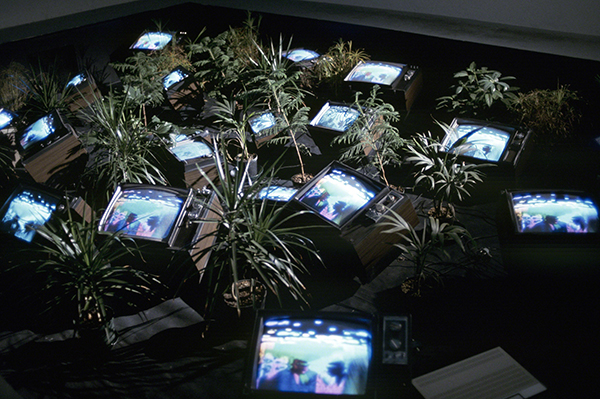 Nam June Paik (1932–2006 US, born Korea), TV Garden, 1974. 