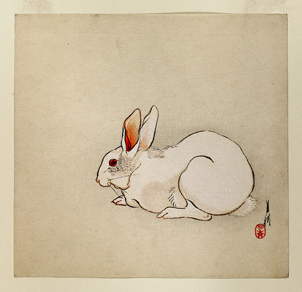 Color wood block print by Ogata Gekkō titled White Rabbit (ca. 1890–1910). White rabbit with red eye on beige background. 