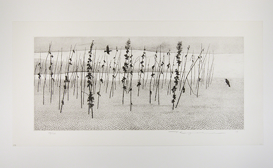 Etching by Tanaka Ryohei titled River Bed (1979). Black-and-white landscape of grasses along a riverbed.