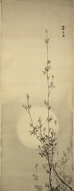 Terasaki Kōgyō (1866–1919), Cherry Blossoms and Moon.