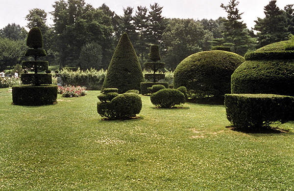 United States, Longwood Gardens, gardens in the Tudor topiary style, Kennet Square, Pennsylvania, original gardens 1798, topiary 1935/1936.