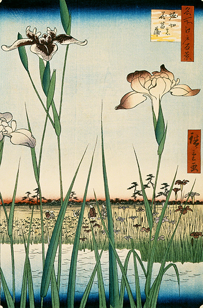 Print by Utagawa Hiroshige titled Iris Garden at Hokiri (1857). Iris flowers in the foreground with water and wetlands in the middle and background..