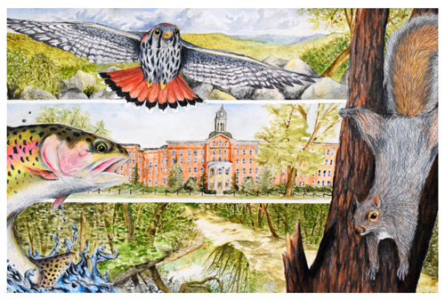 SchoolArts magazine, The Curiosity Issue, Summer 2022, High School art lesson, Exploring Oneself through Artmaking