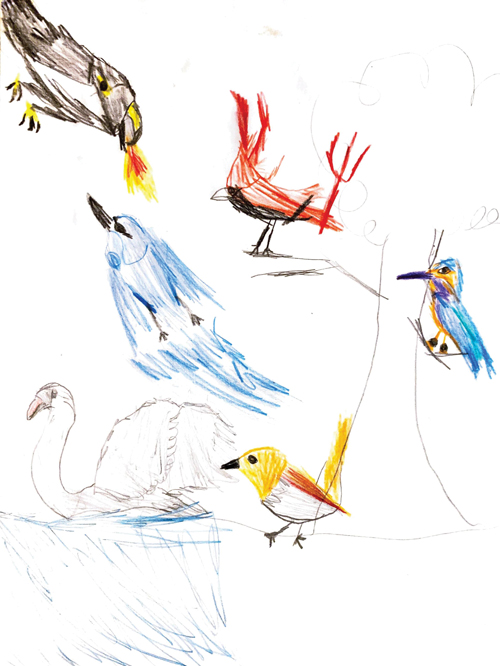 SchoolArts magazine, January 2022 issue, Elementary art lesson, drawing, birds