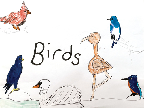 SchoolArts magazine, January 2022 issue, Elementary art lesson, drawing, birds