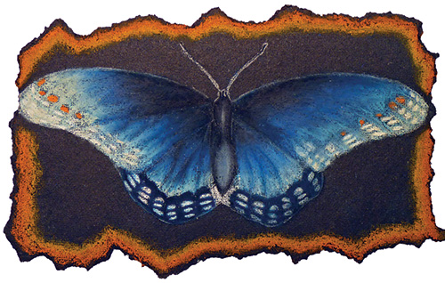 Student art from Insects & Torn Edges, a Middle School art lesson
