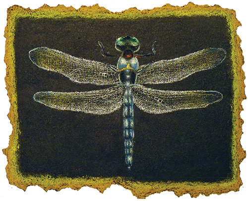 Student art from Insects & Torn Edges, a Middle School art lesson