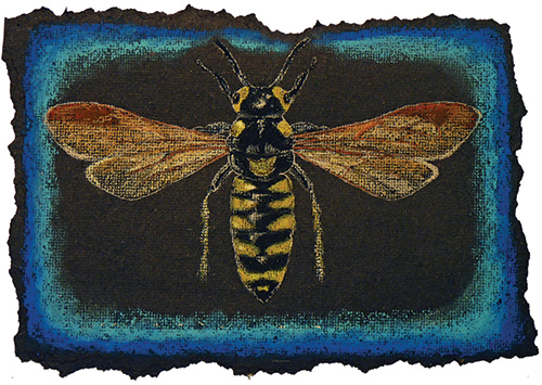 Student art from Insects & Torn Edges, a Middle School art lesson