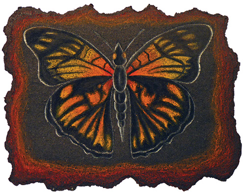 Student art from Insects & Torn Edges, a Middle School art lesson