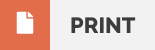 print