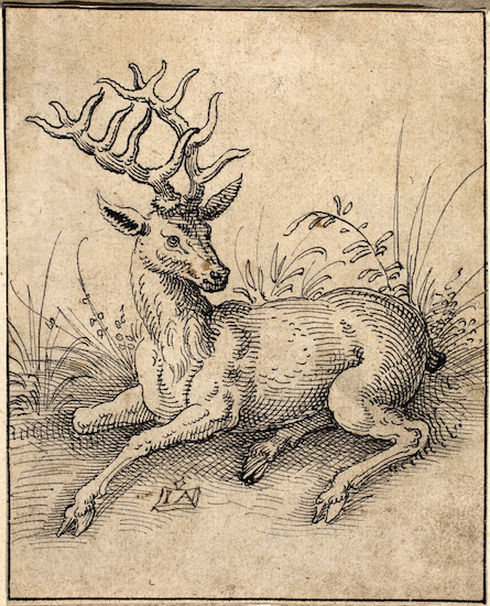 Drawing by Jost Amman called The Stag (ca. 1582?)
