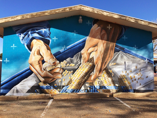 Nanibah Chacon is a Native American/Chicana street artist.