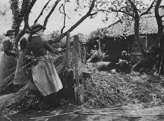 Photograph by Peter Henry Emerson titled Women Working Reeds (1888).
