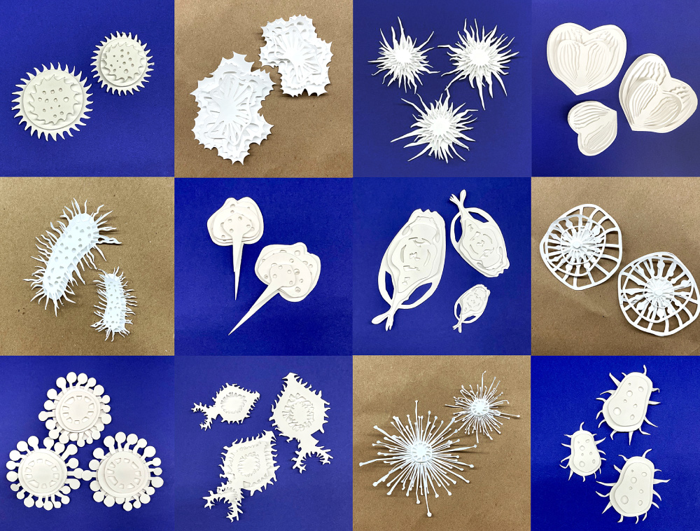 SchoolArts magazine, The Media Arts Issue, December 2023, High school art lesson, Layered Paper Sculptures