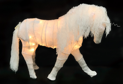 Illuminated Animals