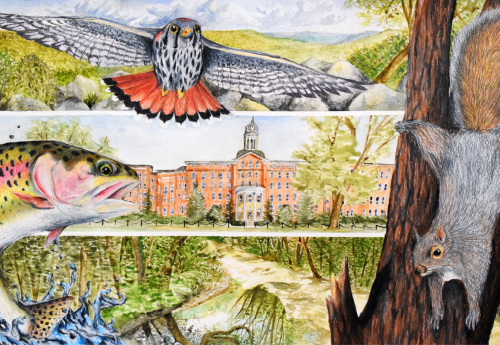 Exploring Oneself through Artmaking