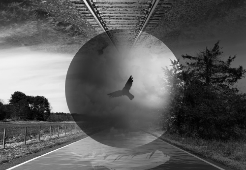 Manipulative Photomontage