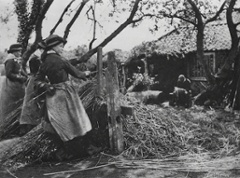 Artist Birthday: Peter Henry Emerson