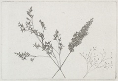 Artist Birthday: William Henry Fox Talbot (1800-1877 Britain)