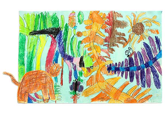 Into the Jungle: Drawing on Imagination