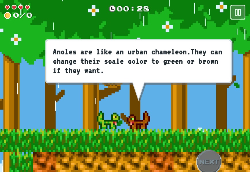 Video Games as Interactive Art