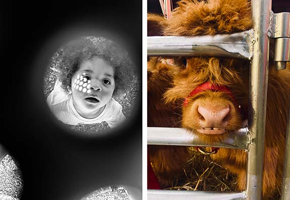 Advocacy in Focus: Picturing the Impact on Student Engagement