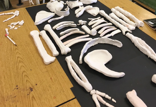 Digging Art through Science